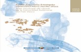 Euskal Autonomia Erkidegoko minbiziaren herriz … · Leucemias Linfomak ... El presente atlas describe la incidencia de cáncer en los muni - cipios de la CAPV y muestra la importancia