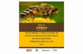 Presentación de PowerPoint - proyectoadapta.comproyectoadapta.com/wp-content/uploads/2017/02/... · especial productores/as de miel a nivel de la región norte de Nicaragua (Jinotega,