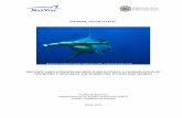 INFORME TÉCNICO FINAL - oas.org · IDENTIFICANDO ESTRATEGIAS REPLICABLES PARA LA CONSERVACIÓN DE ... best practices on shark conservation and management strategies and linked with