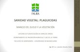 SANIDAD VEGETAL: PLAGUICIDAS - espacios …espacios-verdes.s3.amazonaws.com/manejo/sanidad-vegetal... · Principios activos muy concentrados Principios activos de altos rendimientos
