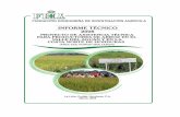 INFORME TECNICO PROYECTO ARROZ 2004-2005 …fhia.org.hn/dowloads/informes_tecnicos/it2005proyectoarroz.pdf · Prácticamente la producción de arroz en esta región se concentra en
