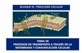 PROCESOS DE TRANSPORTE A TRAVÉS DE LA MEMBRANA …biologiaygeologia.weebly.com/uploads/9/1/0/5/9105909/tema_10... · Difusión simple La difusión es un proceso físico que depende