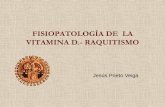 FISIOPATOLOGÍA DE LA VITAMINA D.- RAQUITISMOcampus.usal.es/~ogyp/Clases teoricas 2012 2013/Prof. Prieto/VIT D... · Formas de vitamina D D2 (ergocalciferol)- Alimentos vegetales