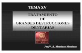 TEMA XV TRATAMIENTO DE GRANDES …asignatura.us.es/opediatria/ppt/t15.pdf · cambio de color composición del relleno ... protectores dentino-pulpares ... postoperatoria de los compuestos