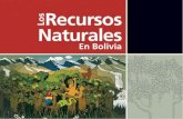 Recursos Naturales - Cebem – Centro Boliviano de ...cebem.org/cmsfiles/publicaciones/recursos_nat_bol.pdf · Clima de montaña (zonas montañosas de más de 3.500 msnm cerca del