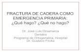 FRACTURA DE CADERA COMO EMERGENCIA …compuerta.cl/geriatriacongreso2015/presentaciones/pdf/coihue/1... · • Las FC son fracturas que comprometen el extremo proximal del fémur