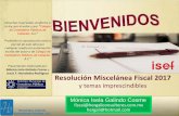 y temas imprescindibles - contadoresculiacan.mx · Hernández Galindo  Consultores Fiscales, S.C Vigencia de la RMF 2017 •Primero. Entrará en vigor el 1 de enero de …