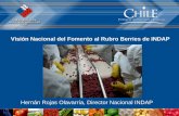 Visión Nacional del Fomento al Rubro Berries de INDAPchilealimentos.com/medios/Servicios/Seminarios/2008/Berries/ROJAS.pdf · Visión Nacional del Fomento al Rubro Berries de INDAP.