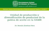 Presentación de PowerPoint - FEMEXPALMA · Baja: 4 ton/mes Producción. Unidad de ... Maestría en Desarrollo Agropecuario Sustentable . ... Unidad de producción de palma de aceite
