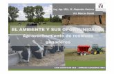 4- Alejandra Herrera- El ambiente y sus oportunidades ambiente-y-sus... · Te s tig o D R U D R E -B D R E 2 0 0. Re-uso como fertilizantes ... Testigo Urea 100 Urea 50 + 50 Estiercol