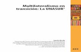 Multilateralismo en transición: La UNASUR - cries.org · De acuerdo con el Tratado Constitutivo firmado en Brasilia ... que es un problema y no una ... Esta decisión fue producto