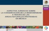 ASPECTOS JURIDICOS SOBRE LA CONSERVACION DE LA ... · aspectos juridicos sobre la conservacion de la biodiversidad a travÉs de las areas naturales protegidas en mexico