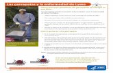 Las garrapatas y la enfermedad de Lyme - cdc.gov · Cómo prevenir picaduras de garrapatas al trabajar al aire libre Las garrapatas pueden transmitir enfermedades, como la enfermedad