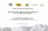 Desarrollo de la Fruticultura en Cundinamarca - …asohofrucol.com.co/archivos/biblioteca/biblioteca_106_Plan Nal frur... · Rentabilidad ... del país, como el cultivo de naranja