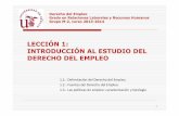 LECCIÓN 1: INTRODUCCIÓN AL ESTUDIO DEL DERECHO …departamento.us.es/dtss/Materiales 2013/JavierCalvo/TEMA-1-2013... · INTRODUCCIÓN AL ESTUDIO DEL DERECHO DEL EMPLEO ... 35 Derecho