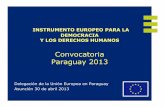INSTRUMENTO EUROPEO PARA LA DEMOCRACIA Y …eeas.europa.eu/archives/delegations/paraguay/documents/press... · humanos y de las libertades fundamentales de Paraguay. 4 1. Prioridades