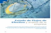 Estado de Flujos de Efectivo y análisis de la empresanicniif.org/files/u57/ARTICULO_PARA_DESCARGAR_PDF_NOV_08.pdf · presa, el Estado de flujos de tesorería (EFT) o ... hace de