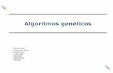 Algoritmos genéticos - Departamento de Informática ...calonso/IAI/Tema5-AlgoritmosGeneticos/AG… · Algoritmos genéticos 1. Introducción 2. Esquema básico 3. Codificación 4.