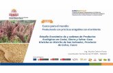 Presentación de PowerPoint - Euroecotrade · CULTURALES EDUCACIÓN APOYO FORMACIÓN DEL SUELO FOTOSÍNTESIS CICLO DE NUTRIENTES ... • Carencia de equipos agrícolas para las labores