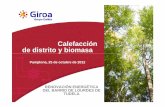 Calefacción de distrito y biomasa - crana.org · Procedente de subproductos de la madera. IV. La Bioamasa : Un biocombustible ecológico. IV. La Biomasa : Usos térmicos. Astilla