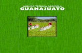 AGENDA TÉCNICA AGRÍCOLA GUANAJUATO - SER …extensionismo.sagarpa.gob.mx/.../agenda_tecnica/F11_Guanajuato.pdf · de Santa Fe de Guanajuato”, le dio el escudo correspondiente.