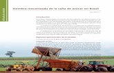 Siembra mecanizada de la caña de azúcar en Brasil ... · Artículo de revisión Siembra mecanizada de la caña de azúcar en Brasil Introducción En el Brasil, debido al gran incremento