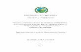 UNIVERSIDAD DE COSTA RICA - iij.ucr.ac.criij.ucr.ac.cr/wp-content/uploads/bsk-pdf-manager/2017/06/Nuevas... · propuesta de modificación al modelo actual de control de constitucionalidad