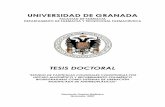 UNIVERSIDAD DE GRANADA - 0 …0-hera.ugr.es.adrastea.ugr.es/tesisugr/16536307.pdf · soluciones inyectables, etc.), no obstante, determinados tipos de fármacos . 1. Introducción.