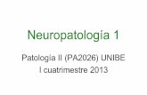 Neuropatología 1 - … · anencefalia, microcefalia, hidrocefalia, mielomeningocele y encefalocele. •Trauma craneoencefálico y espinal. •Encefalopatía isquémica e infarto.