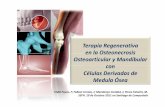 Terapia Regenerativa en la Osteonecrosis … · Regenerativa añadiendo Valor al Proceso de Desarrollo y Producción de estos Nuevos ... Quirúrgico Clínica Centro Internacional