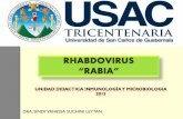 RHABDOVIRUS - inmunologiaymicrobiologia | Blog de la ... · Administración de vacuna de la rabia con virus inactivos, los días 0, 3, 7, 14 y 28; esta vacuna procede del cultivo