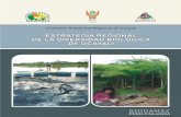 Estrategia Regional de Diversidad Biológica de Ucayali · CRP Comité de Reforestación de Pucallpa DGANPFS Dirección General de Áreas Naturales Protegidas y fauna silvestre DGFF