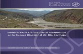 Generación y Transporte de Sedimentos en la cuenca ... · Generación y transporte de sedimentos en la Cuenca Binacional del Río Bermejo. Caracterización y análisis de los procesos