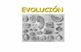 EVOLUCIÓN - docencia.unt.edu.ar · concepciones: fijismo y evolucionismo. 1. El Fijismo ... El Lamarckismo 1º Cambio ambiental: La aridez provoca escasez de hierba en el suelo.