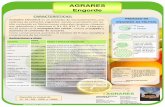 AGRARES Engorde - AGRARES iberia SL€¦ · AGRARES ENGORDE es un complejo de microelementos, pro-cedentes de extractos vegetales, siendo un producto con un alto contenido en fitohormonas