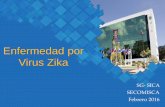 Enfermedad por Virus Zikacomisca.net/sites/default/files/2016-feb-11_PPTsituacionZika.pdf · o Filogenéticamente muy próximo al virus del Dengue, Chikungunya, Fiebre Amarilla, ...