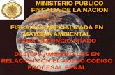 MINISTERIO PUBLICO FISCALIA DE LA NACION … · fiscalia especializada en materia ambiental fema – leoncio prado delitos ambientales en relaciÓn con el nuevo codigo procesal penal