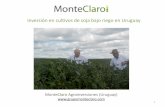 Soja con Riego Norte de Uruguay - grupomonteclaro.comgrupomonteclaro.com/presentacion_inversion_soja_riego_uruguay.pdf · Los reservorios de agua se construyen mediante represas sobre