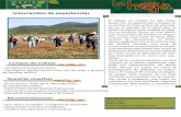 Campos de trabajo Nuestras cosechas Recomendaciones · colas en Bolivia y Paraguay. El labor sobre la conservación de la Biodiversidad, la construcción de un modelo productivo responsable