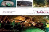 Líderes de Túneles en Latinoamérica (T&T 2014 Annual ...subterra-ing.com/wp-content/uploads/2014/11/presentacion-2014... · del revestimiento, diseño funcional y de instalaciones