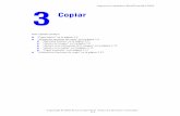 Guía del usuario de la impresora-copiadora …€¦ · Copia básica Impresora-copiadora WorkCentre® C2424 3-3 5. Pulse el botón Comenzar. Si colocó los originales en el alimentador