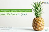 Mercado y condiciones de acceso para piña fresca en …procomer.com/uploads/downloads/63a042c1894f5a2d862... · • En 2016, el mercado de frutas en China estuvo valorado en 188