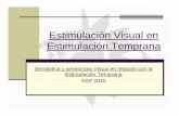 Estimulación Visual enEstimulación Visual en … · AGUDEZA VISUAL (lejos):Oftalmólogo/s consultado/s ... Protocolos de evaluación de Estimulación Temprana Prof. Mercedes O.