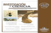 Litopenaeus · Efectos de la inclusión dietaria de Yucca schidigera, en los parámetros de calidad del agua y producción del camarón blanco del Pacífico, Litopenaeus