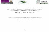 ESTUDIO REGIONAL FORESTAL DE LA UNIDAD DE … Regional... · 1 estudio regional forestal de la unidad de manejo forestal teziutlÁn, puebla asociaciÓn regional de silvicultores de