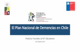 El Plan Nacional de Demencias en Chile - …congresoaib2017.com/images/PPTs/FuentesPatricioPlan DemenciasCHI… · • Programa Turismo Social • Fondo Nacional: Proyectos Autogestionados