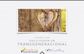 Formación Facilitador en Transgeneracional · Española de PNL (Programación Neuro-lingüística). He impartido sesiones en el Hospital Reina Sofía, para la unidad de cuidados