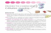ProyeCto ComSCienCe Células madre - digital.csic.esdigital.csic.es/bitstream/10261/48842/10/GLOSARIO_CÉLULAS.pdf · ciclo vital del organismo (por ejemplo, las células madre de