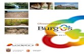 1 Oferta y Demanda 2017 - ubu.es · Informe 2017. Observatorio Provincia de Burgos, Origen y Destino 11 1. Indicadores de la Oferta y la Demanda En este informe presentamos una evolución