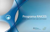 Programa RAICES - Red de Argentinos Investigadores … Raices 2011.pdf · 16 “Me había contactado con la gente del programa RAICES y presenté la demanda de ayuda económica, ya